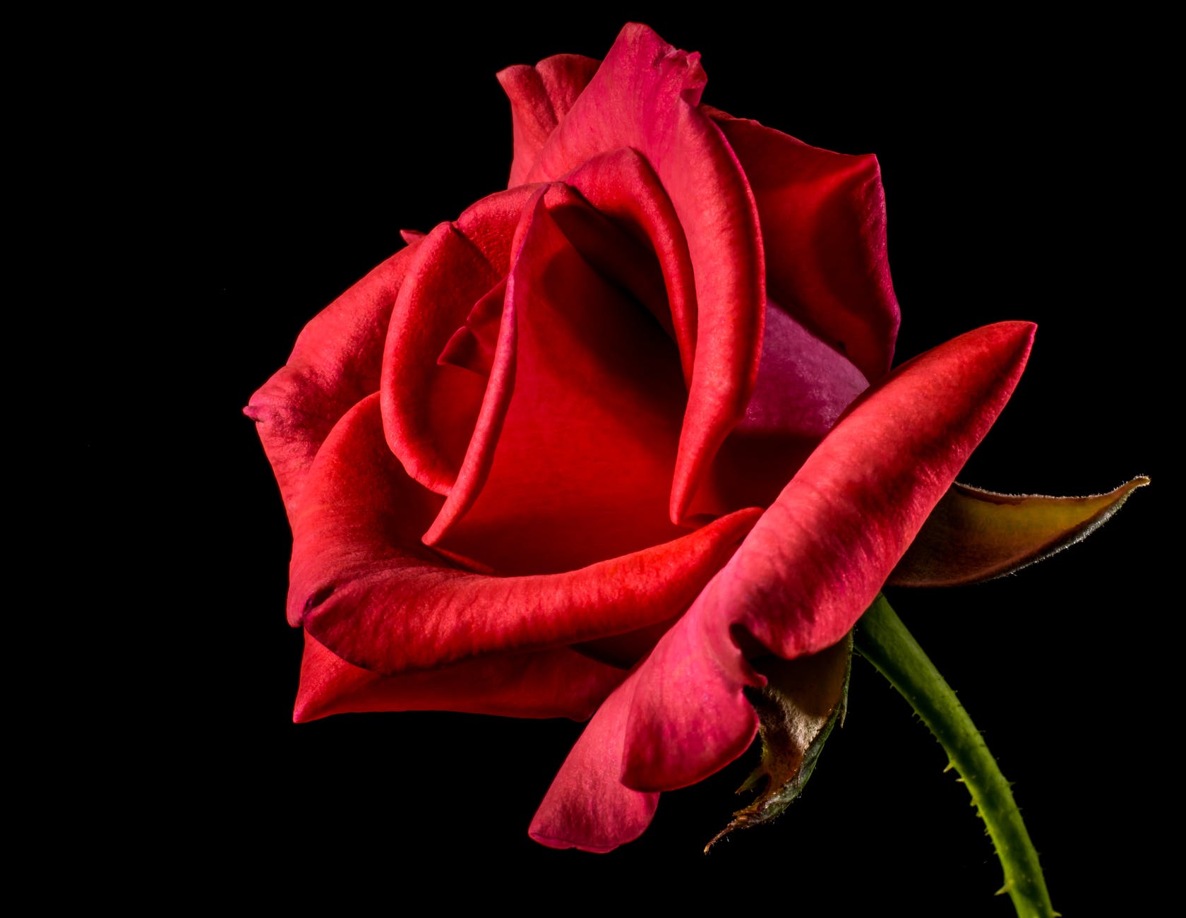 Le Nom de la Rose, de Umberto Eco
